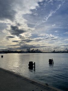 Duelo consciente: cuando aprendes a mirar lo esencial