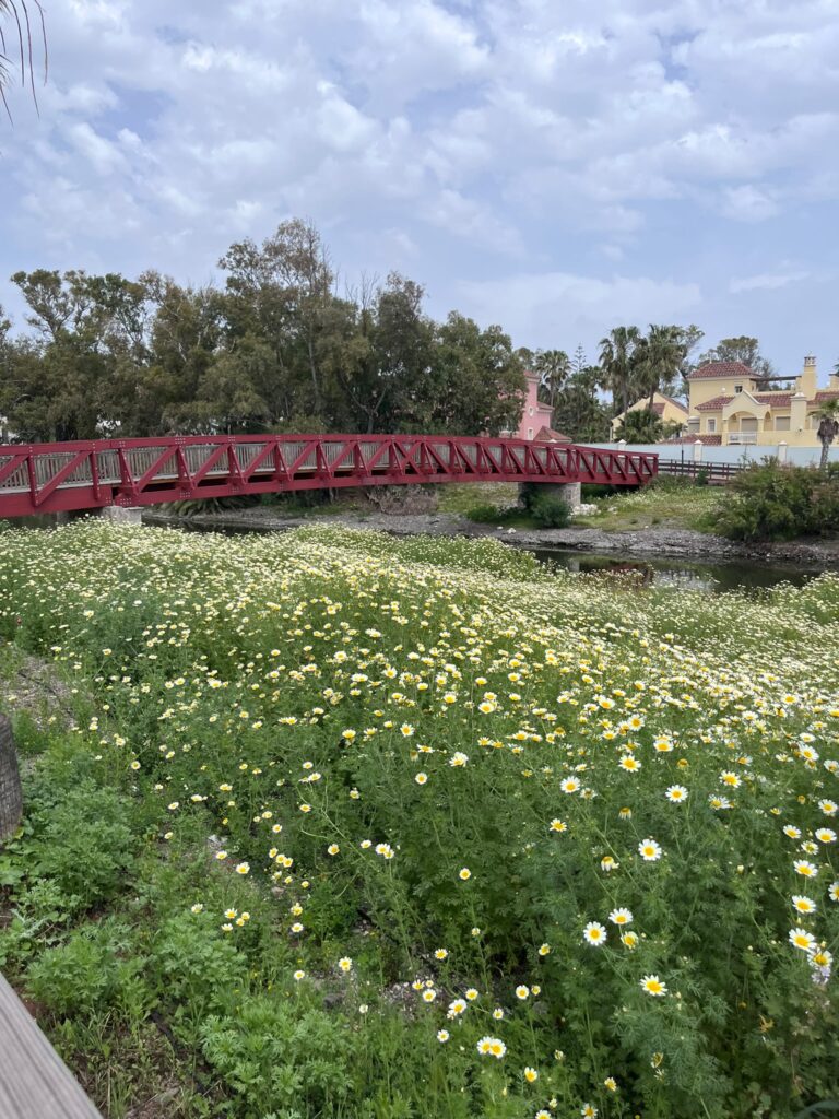 Camino entre flores silvestres y puente rojo que simbolizan las señales y el camino recorrido durante el duelo perinatal