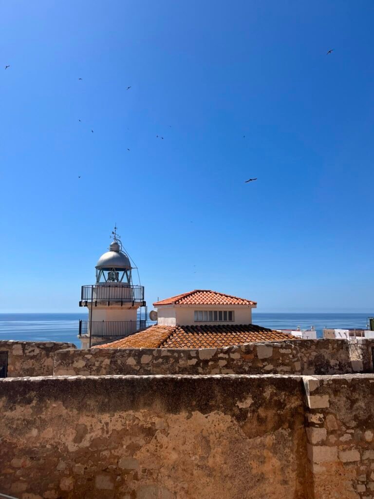 Faro frente al mar con aves volando, símbolo de las batallas invisibles y la compasión en el duelo perinatal